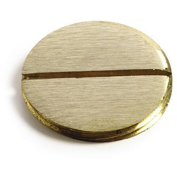 Lew Electric 6211 1" Brass Screw Plug for 6304-S-1 and 524-1 Covers