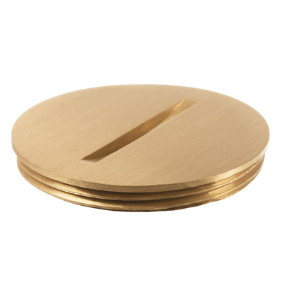 Lew Electric 6214 1.25" Brass Screw Plug Cover for RCFB Floor Boxes